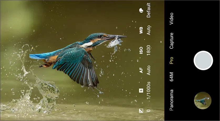 Pro Mode
