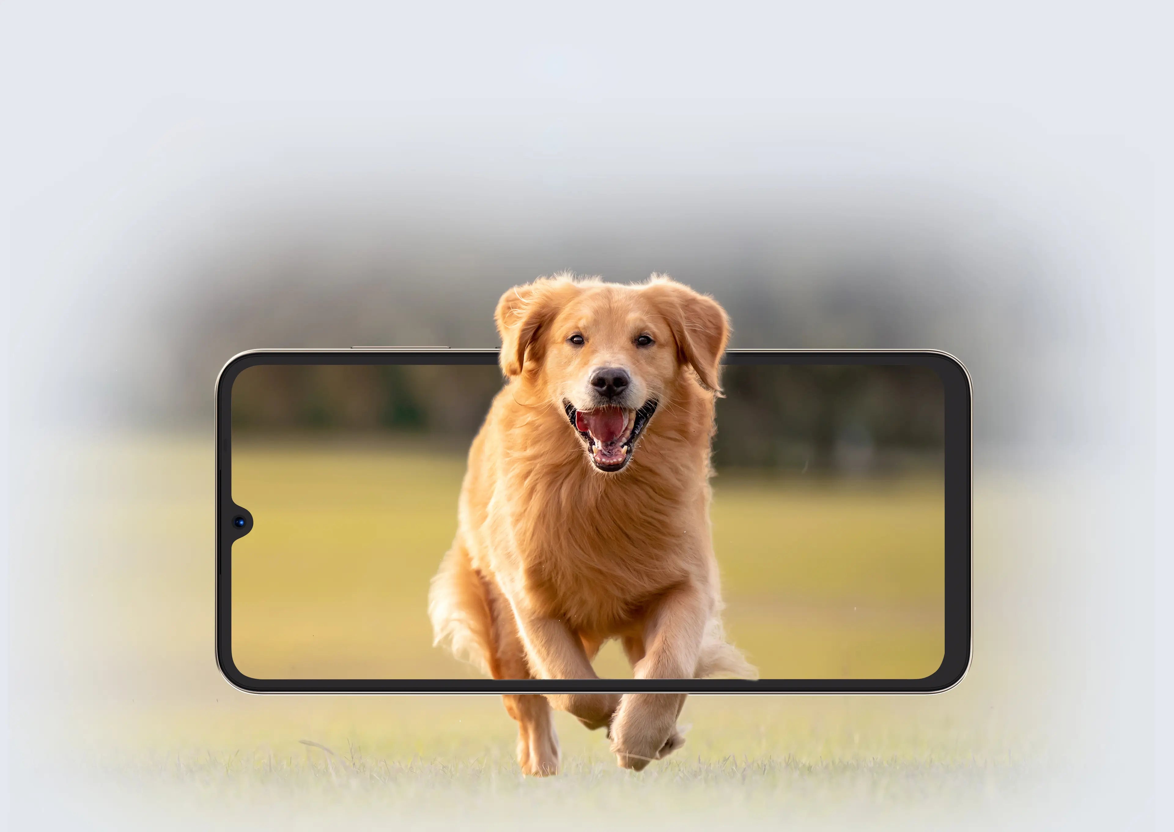 6.9 inch display
